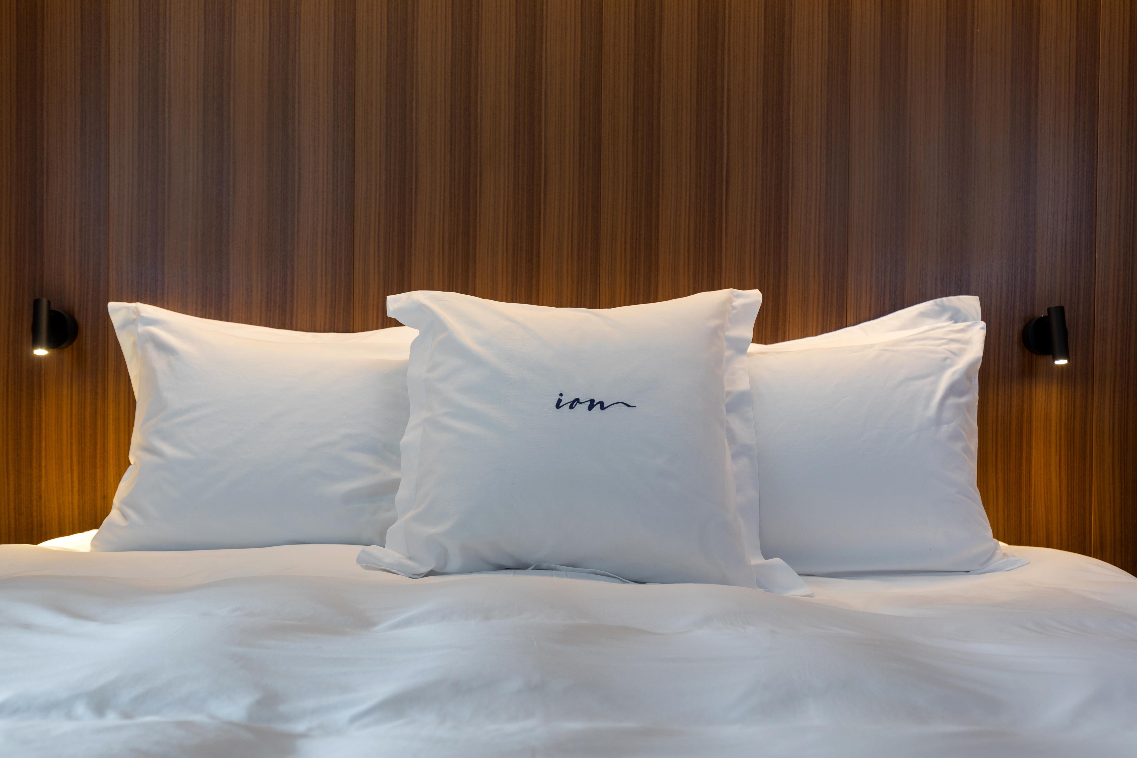 Ion Adventure Hotel, Nesjavellir, A Member Of Design Hotels Exterior photo